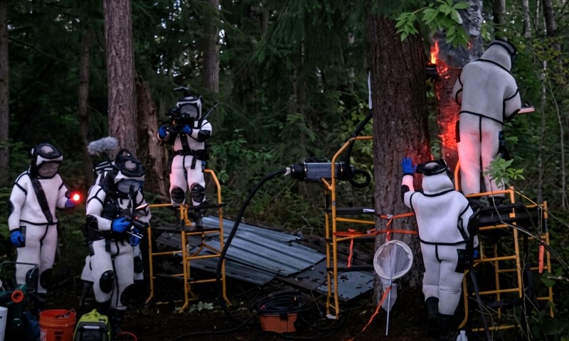 Crew members in white protective suits, removing hornet nest