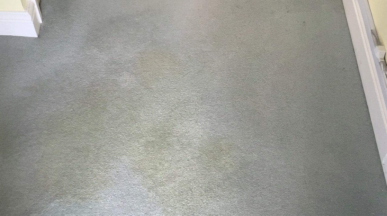 Close-up of a gray, finely textured floor or carpet, bordered by white trim and furniture edges