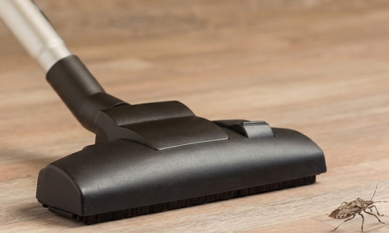 A black vacuum cleaner nozzle rests on a wooden floor beside a small insect